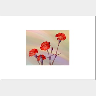 Red Carnations Posters and Art